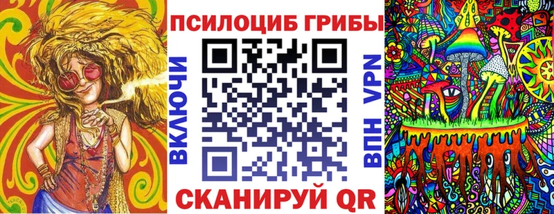Галлюциногенные грибы Cubensis  купить  сайты  Чухлома 