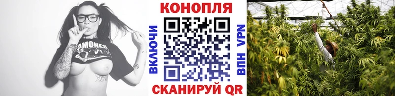Бошки марихуана Ganja  закладки  Чухлома 